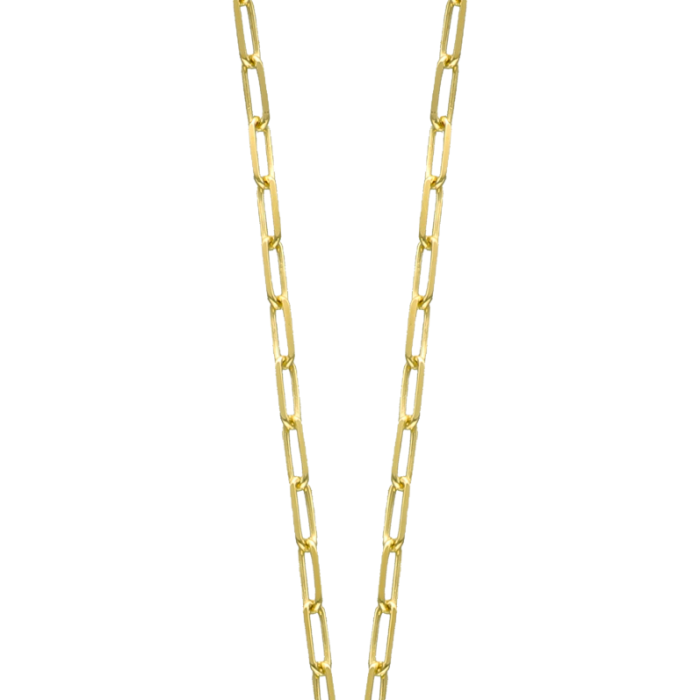 xd11160naay-14k-cetas-sari-altin-tasli-dilek-kolyesi-9-39gr.png